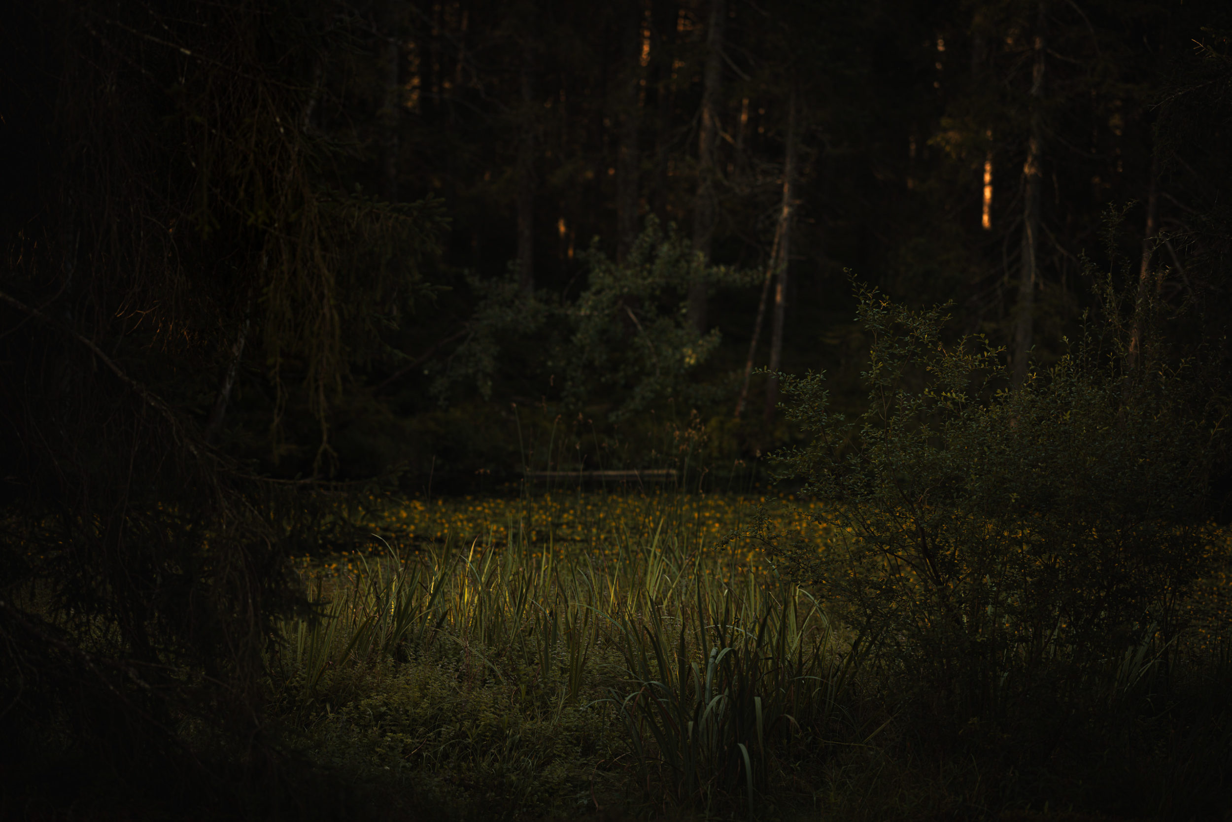 Entrer dans un univers 
de saveurs et de nature 
au cœur du Jura